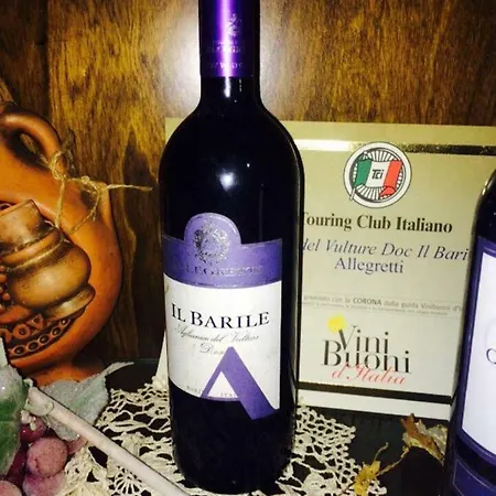 Allegrohome Your Big Nest *