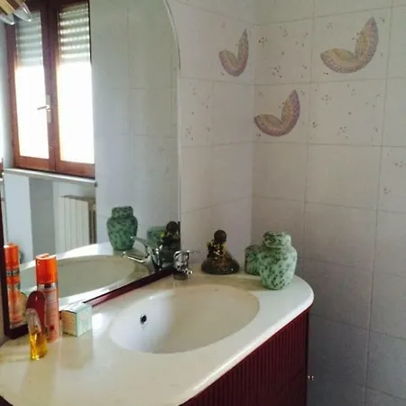 Allegrohome Your Big Nest *