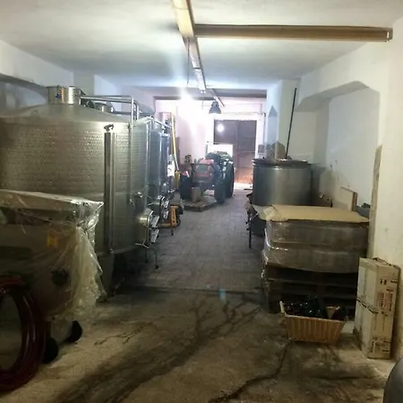 Allegrohome Your Big Nest *