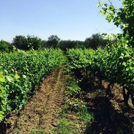 Apartment Allegrohome Your Big Nest *