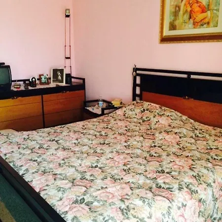 Allegrohome Your Big Nest *