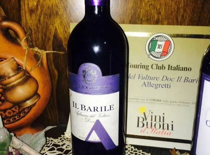 Allegrohome Your Big Nest *