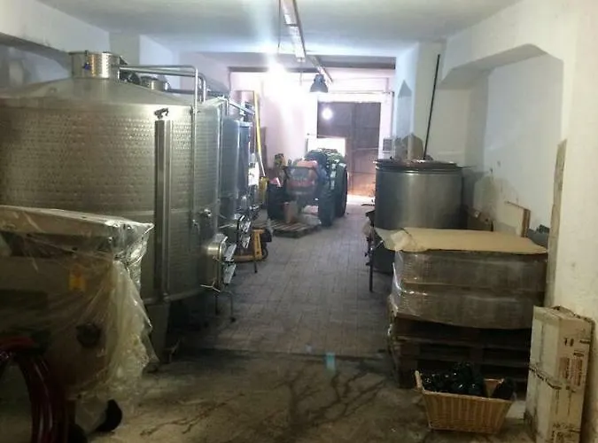 Allegrohome Your Big Nest *