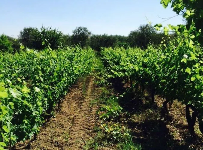 アパート Allegrohome Your Big Nest *