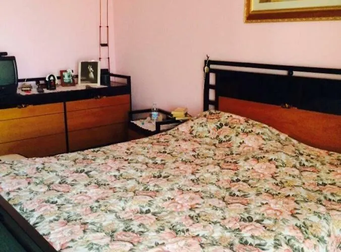 Allegrohome Your Big Nest *